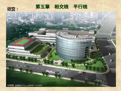 人教版七年级下册 第五章 相交线和平行线 5.1.1相交线课件 (共15张PPT)