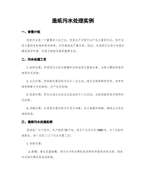 造纸污水处理实例