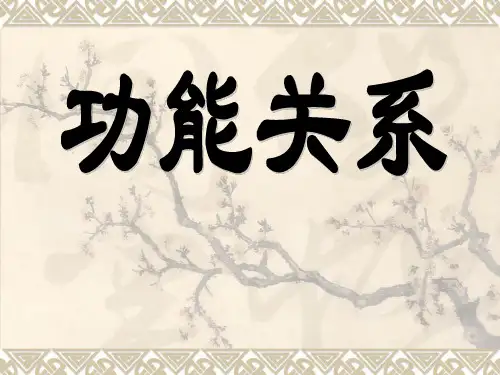 功能关系(高三复习)