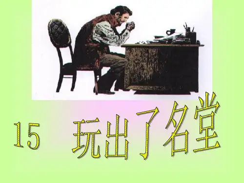 15《玩出了名堂》ppt课件(1)