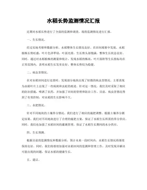水稻长势监测情况汇报