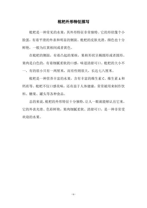枇杷外形特征描写
