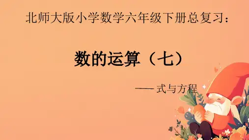 北师大版六年级下册数学总复习—式与方程课件(共20张PPT)