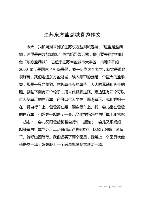 江苏东方盐湖城春游 作文