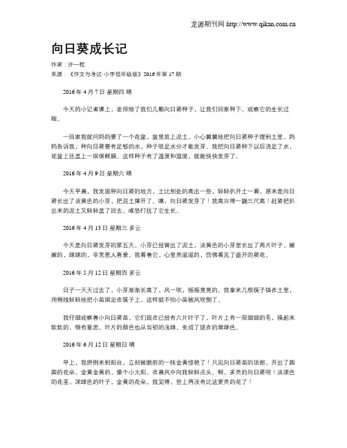 向日葵成长记