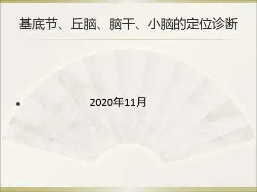 基底节、间脑、脑干、小脑的定位诊断 