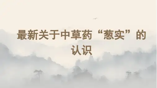 最新关于中草药“葱实”的认识