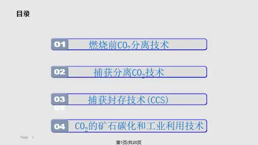 二氧化碳减排技术课件PPT教学