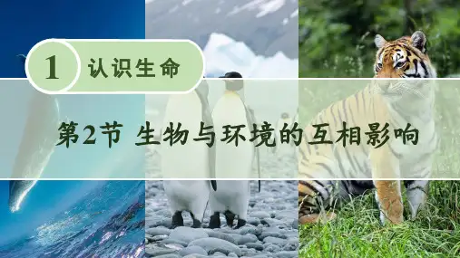 北师大版七年级上册生物教学课件 第1章 生命的世界 第2节 生物与环境的相互影响