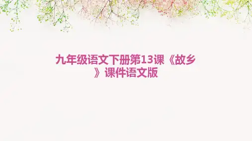 九年级语文下册第13课《故乡》课件语文版