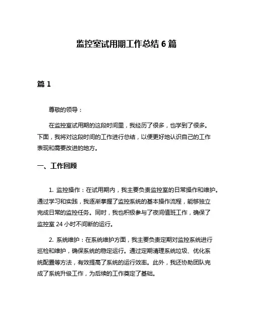 监控室试用期工作总结6篇