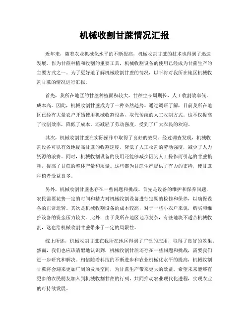 机械收割甘蔗情况汇报
