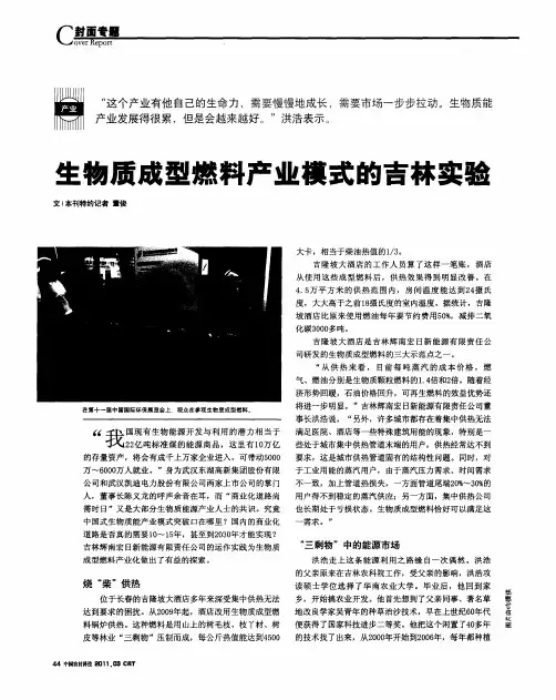生物质成型燃料产业模式的吉林实验