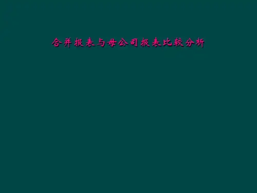 合并报表与母公司报表比较分析