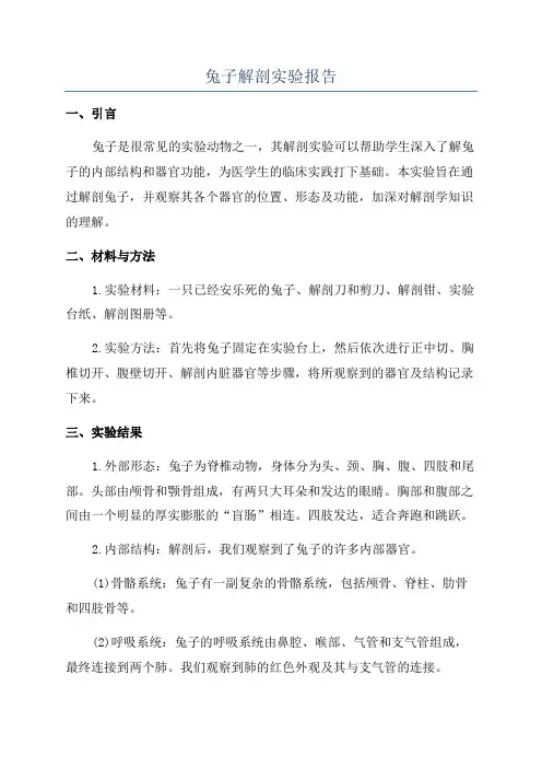 兔子解剖实验报告