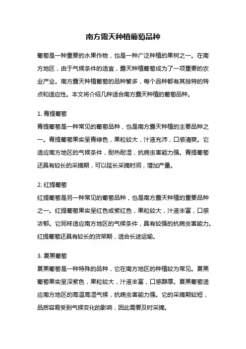 南方露天种植葡萄品种
