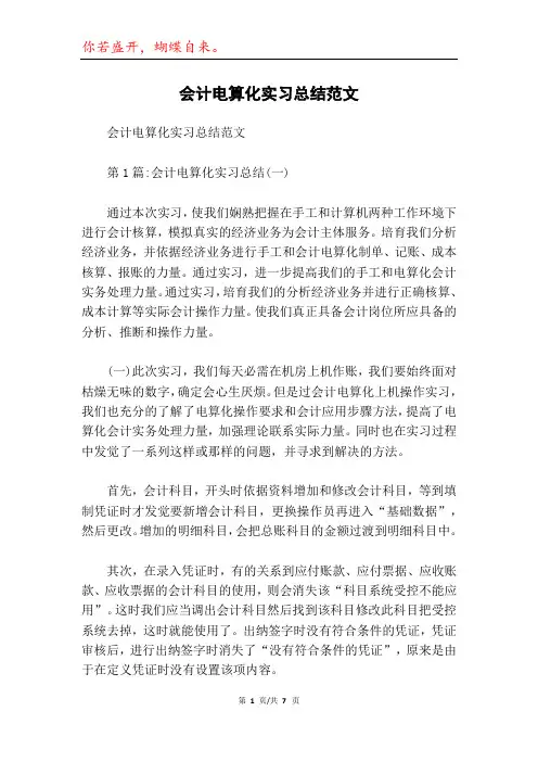 会计电算化实习总结范文