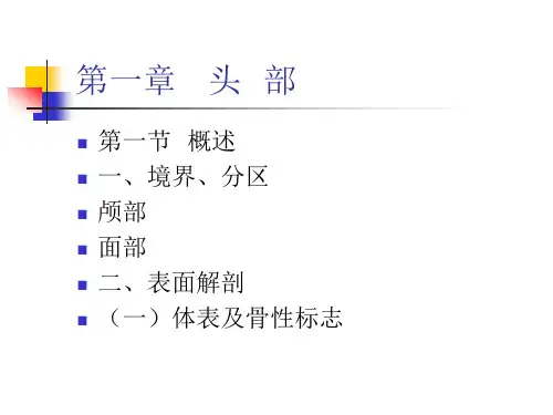 人体解剖学本科课件-人体解剖学