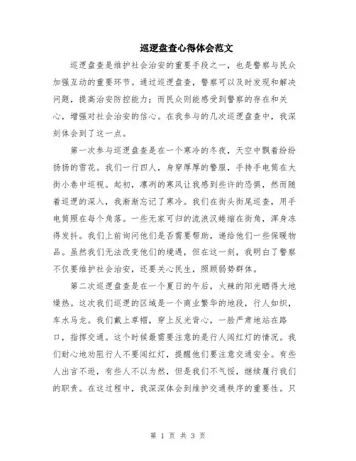 巡逻盘查心得体会范文