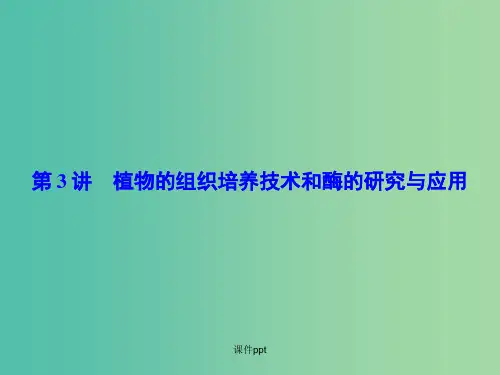 高考生物一轮复习 第3讲 植物的组织培养技术和酶的研究与应用 新人教版选修1
