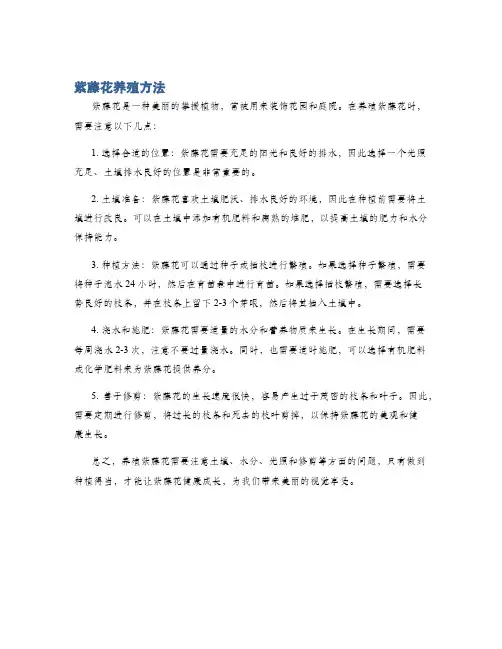 紫藤花养殖方法