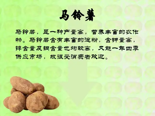 马铃薯储藏保鲜技术