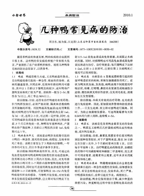 几种鸭常见病的防治