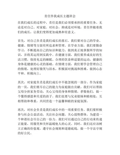 责任伴我成长主题班会