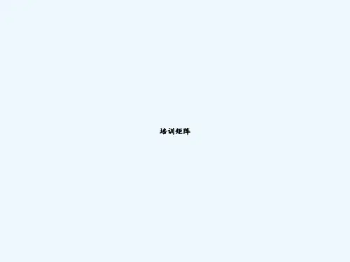 培训矩阵 PPT