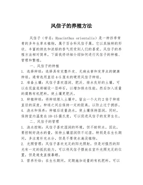 风信子的养殖方法