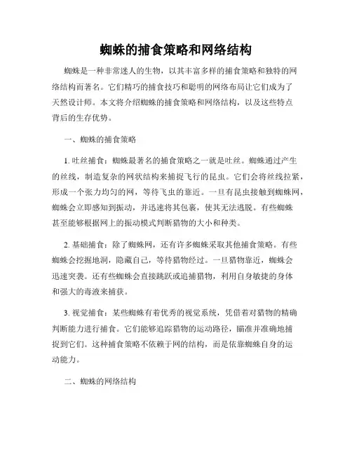 蜘蛛的捕食策略和网络结构