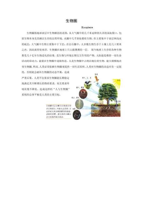 生物圈
