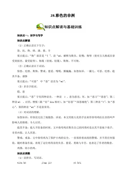 五年级语文下册知识点编写28课《彩色的非洲》