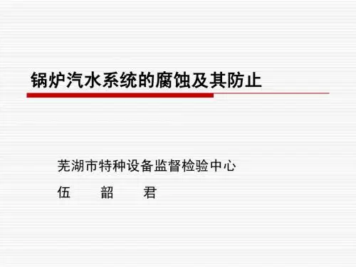 水处理-汽水系统金属的腐蚀及防止