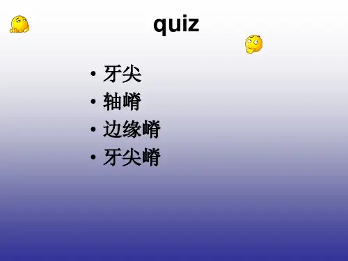 医学教学课件：前磨牙组