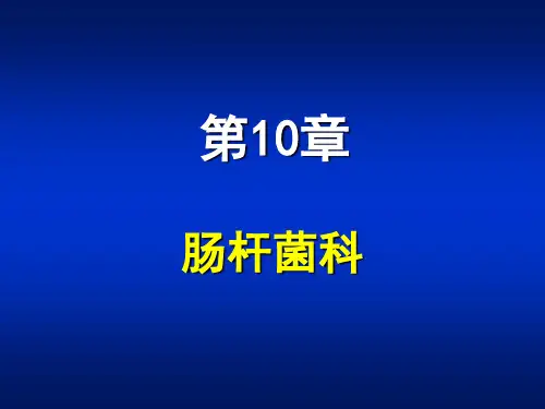 -第10章-肠杆菌属
