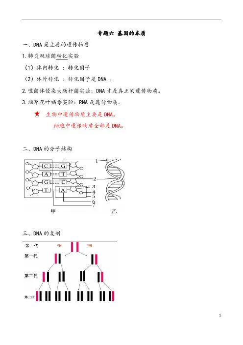 高中生物人教版必修二《基因的本质》知识点总结归纳