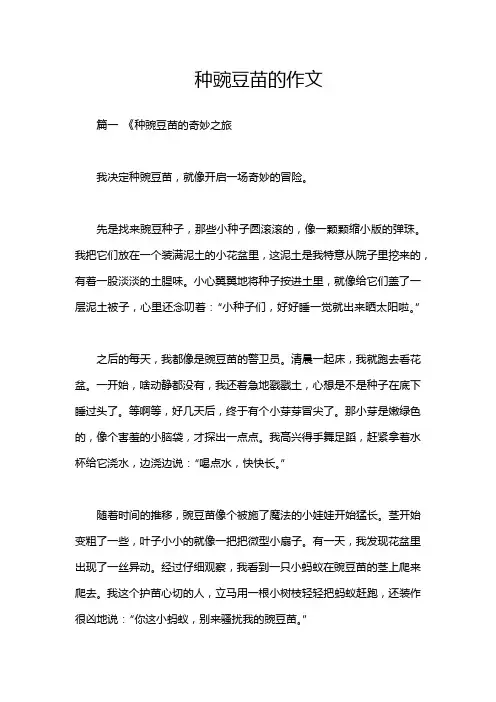 种豌豆苗的作文