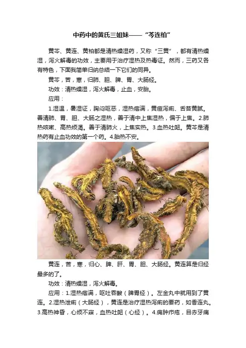 中药中的黄氏三姐妹——“芩连柏”