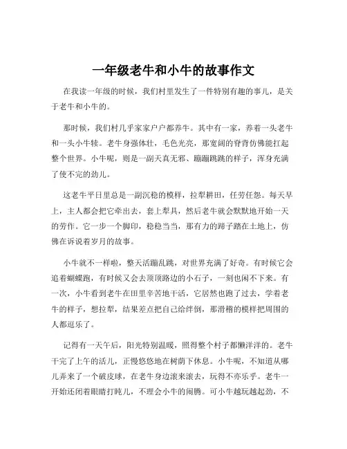 一年级老牛和小牛的故事作文