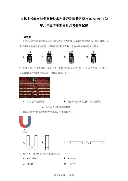 吉林省长春市长春高新技术产业开发区慧谷学校2023-2024学年九年级下学期6月月考数学试题