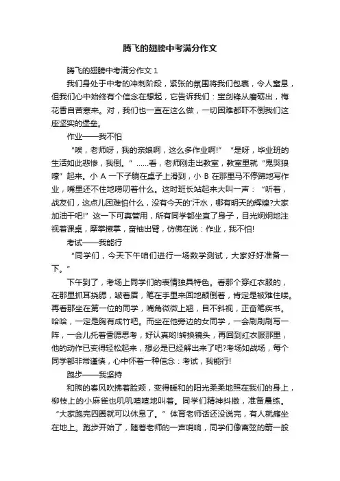 腾飞的翅膀中考满分作文