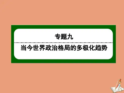 2020_2021学年高中历史专题九当今世界政治格局的多极化趋势9.2新兴力量的崛起课件人民版必修1