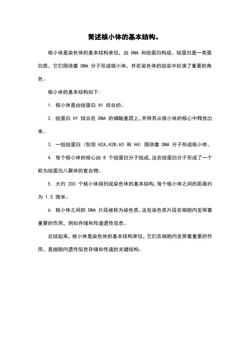 简述核小体的基本结构。