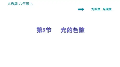 人教版八年级上册物理习题课件第4章光的色散