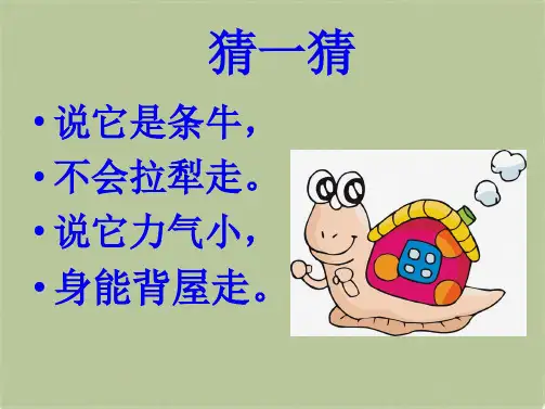 教科小学科学三上《2.2、蜗牛(一)》PPT课件(11)[精选](共9张PPT)