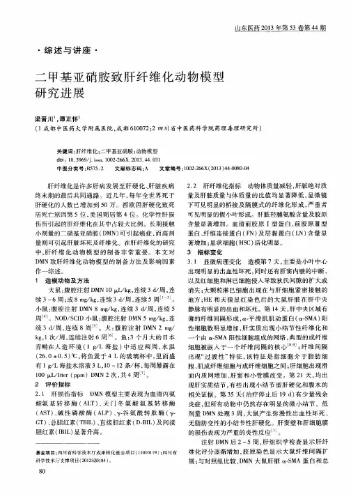 二甲基亚硝胺致肝纤维化动物模型研究进展