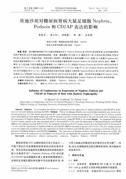 坎地沙坦对糖尿病肾病大鼠足细胞Nephrin、Podocin和CD2AP表达的影响