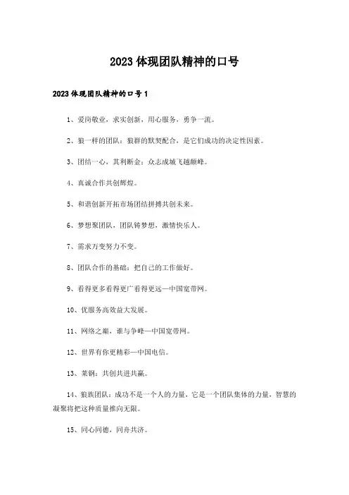 2023体现团队精神的口号_1