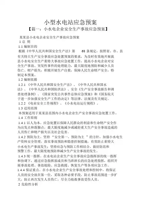小型水电站应急预案